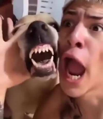 yo_ctm