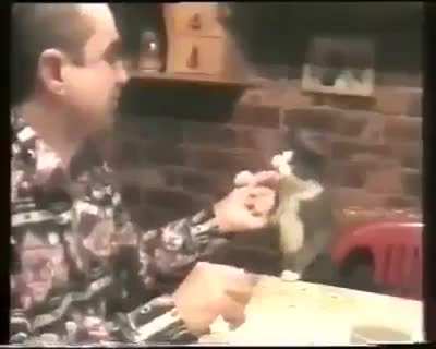 Touch the hand