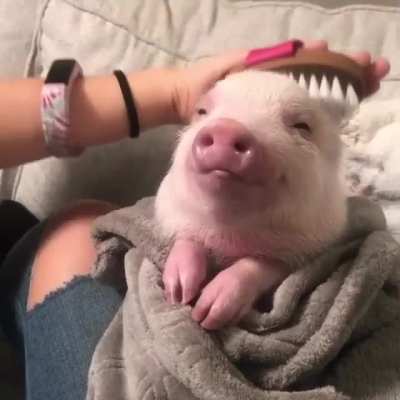 So cute