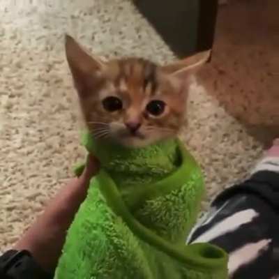 MIAAAAU