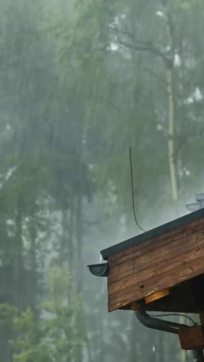 Peaceful sound of raining