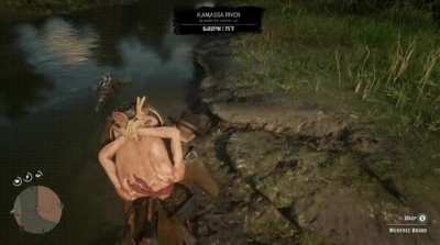 Gator&rsquo;d