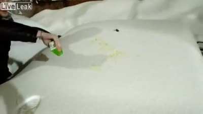 SLPT: Bored this winter season? Consider pranking your neighbor