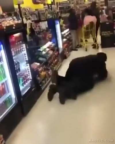Street Thug Claims to Be the "Next Savage"