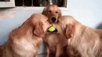 Whatcha guys doing? Can I join you?