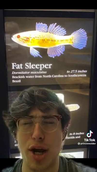 Fsh