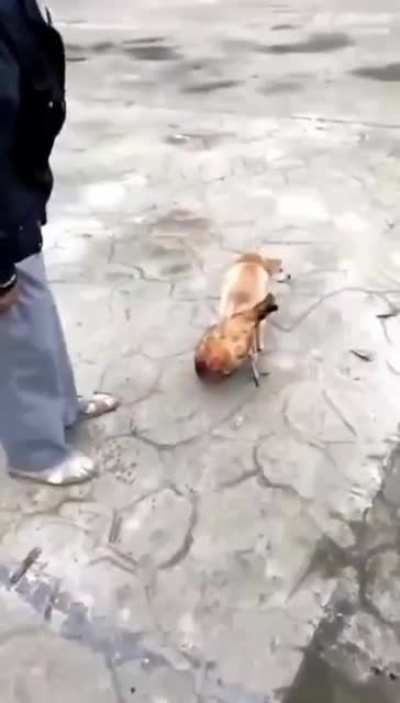 Застрял