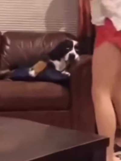 He&rsquo;s just fed up of this shit!