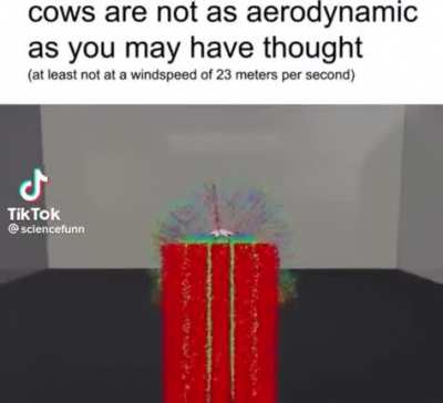 Why do cows do