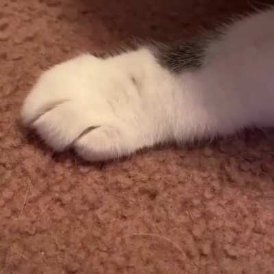 -w-