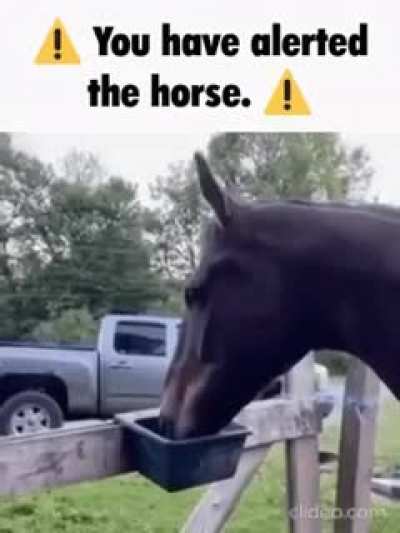 horsne
