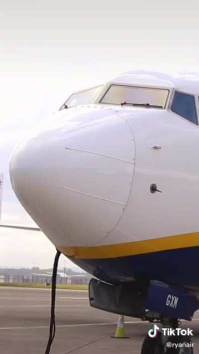 Ryanair social media manager needs a raise!