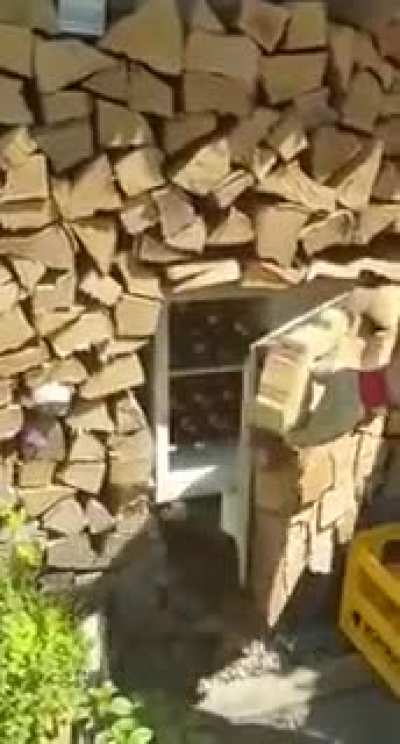 В течении долгого дня