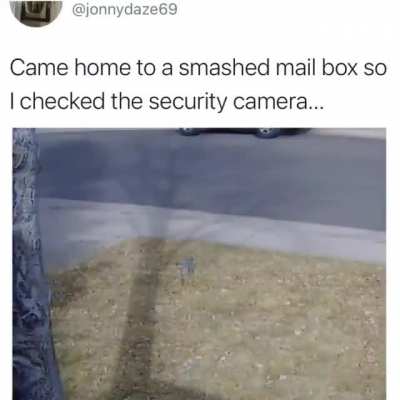 Mailman goes brrrr