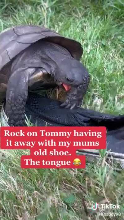 The funniest thing I&rsquo;ve seen this week