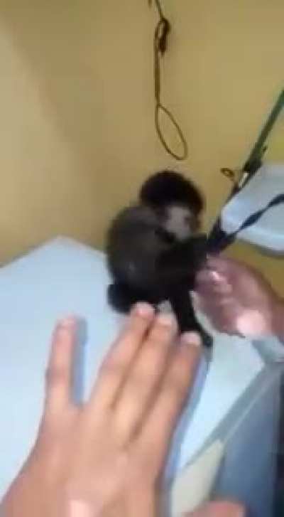 Lança da boa!