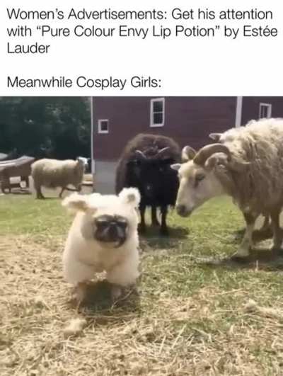 Really get &lsquo;em sniffing around