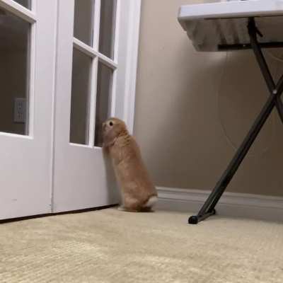 It&rsquo;s a big world out there! 👀