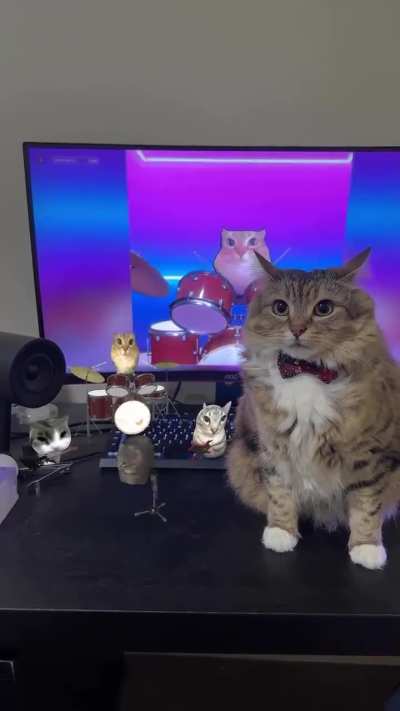 kgkgkhwo
