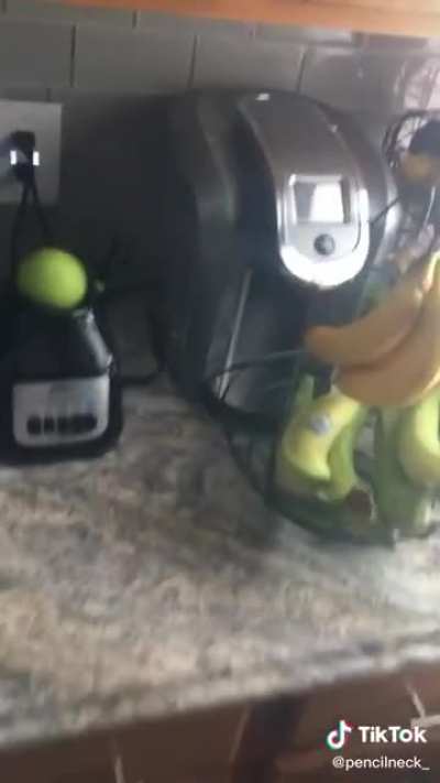 This guy knows how to spin an apple.