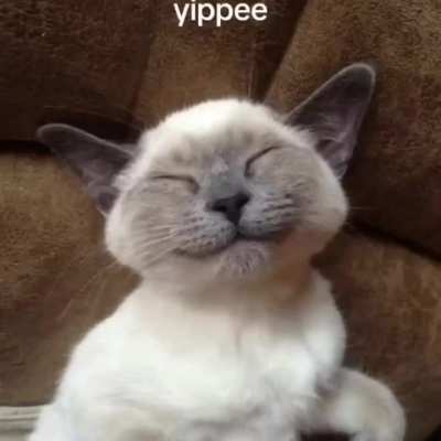 yippeee!!!!