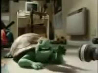 Tortuga cantando arabe 😎