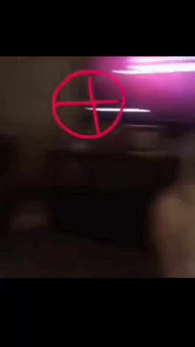 BeelcitosMemes - Video #3924