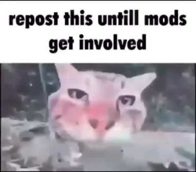 Yub