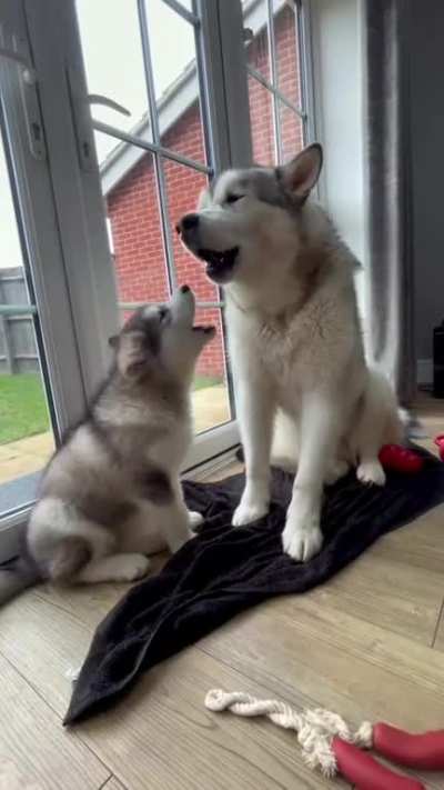 Father and son