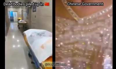 blursed Chinese government
