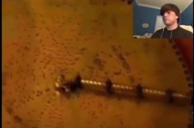 Music disc reaction