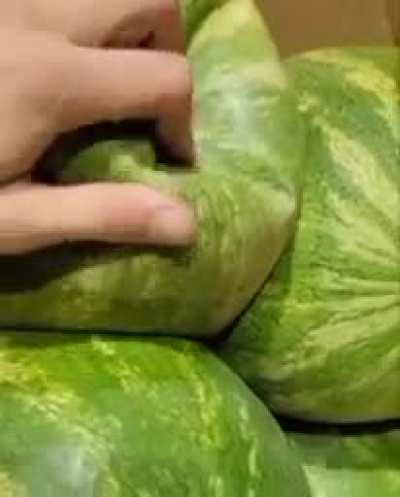 The cummelon