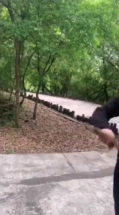 elden king stick