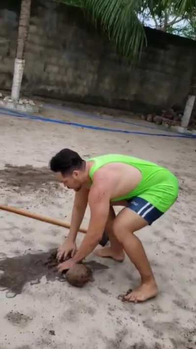 Coconut cracking failed