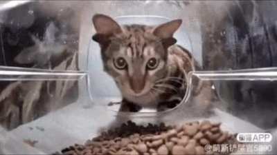His ass IS all ears