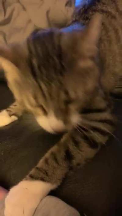 ah