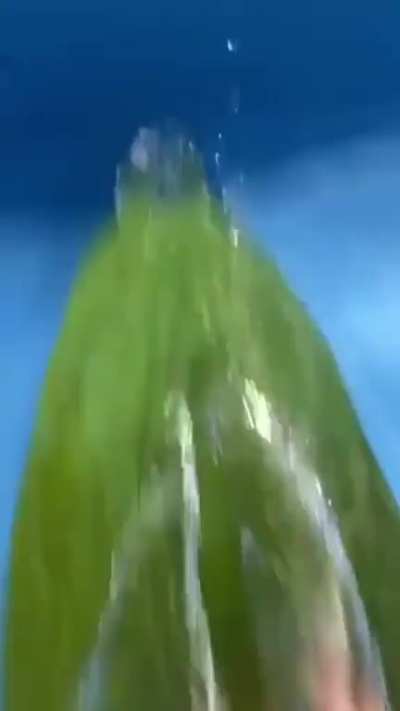 teste de aprova&ccedil;&atilde;o pra gio
