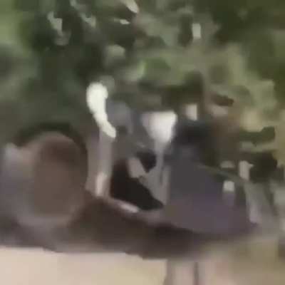 3 = 1