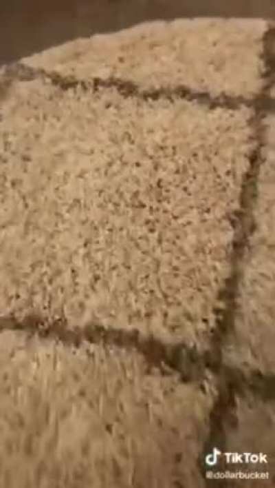 Burn this house down