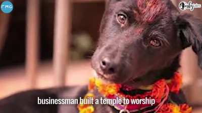 "2 dogs disappeared from a village..."goddess" came in dream of a person and asked her to erect temple dedicated to them..since that day those dogs are worshipped there".