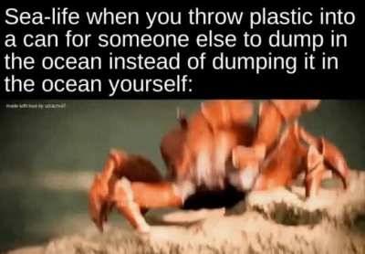 my dignity is gone 🦀🦀🦀