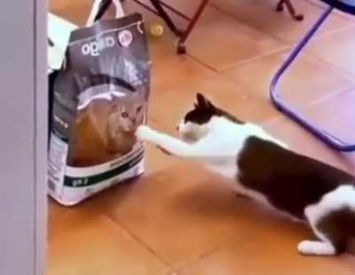 Food fight