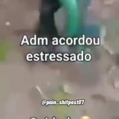 S&oacute; pq comi a m&atilde;e dele