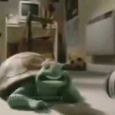 XD