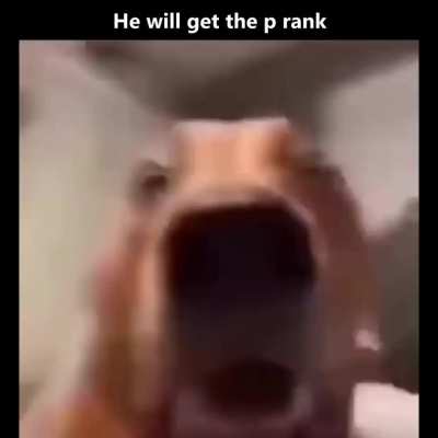 Watch him.