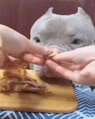Вредный пёсель
