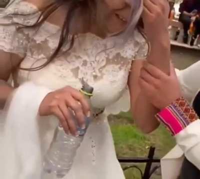 In Bolivia, a man had fun with his mistress right before the wedding and got caught by the bride.