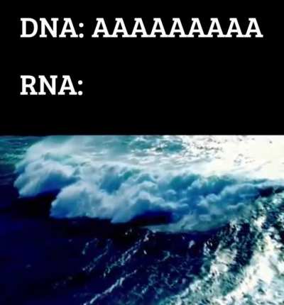 Adenine moment
