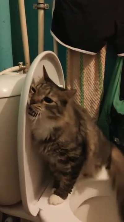 Maybe maybe maybe