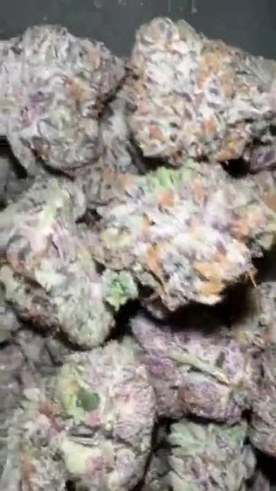 Sweet Berry Gelato